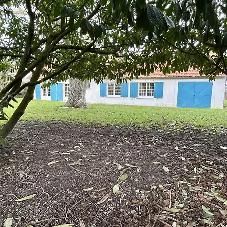 Feriehus Charmante Longere - Havre De Paix Avec Jardin Et Cheminee Sallenelle (Somme)